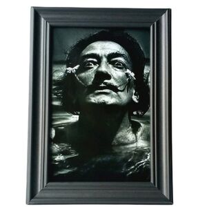 Salvador Dali surrealism artists art contemporary home decor frame photo print